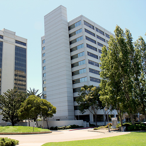 Centre for Neuro Skills