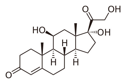 Hippcampal plasticity