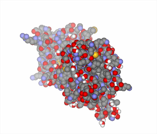 Neuronal Remodeling